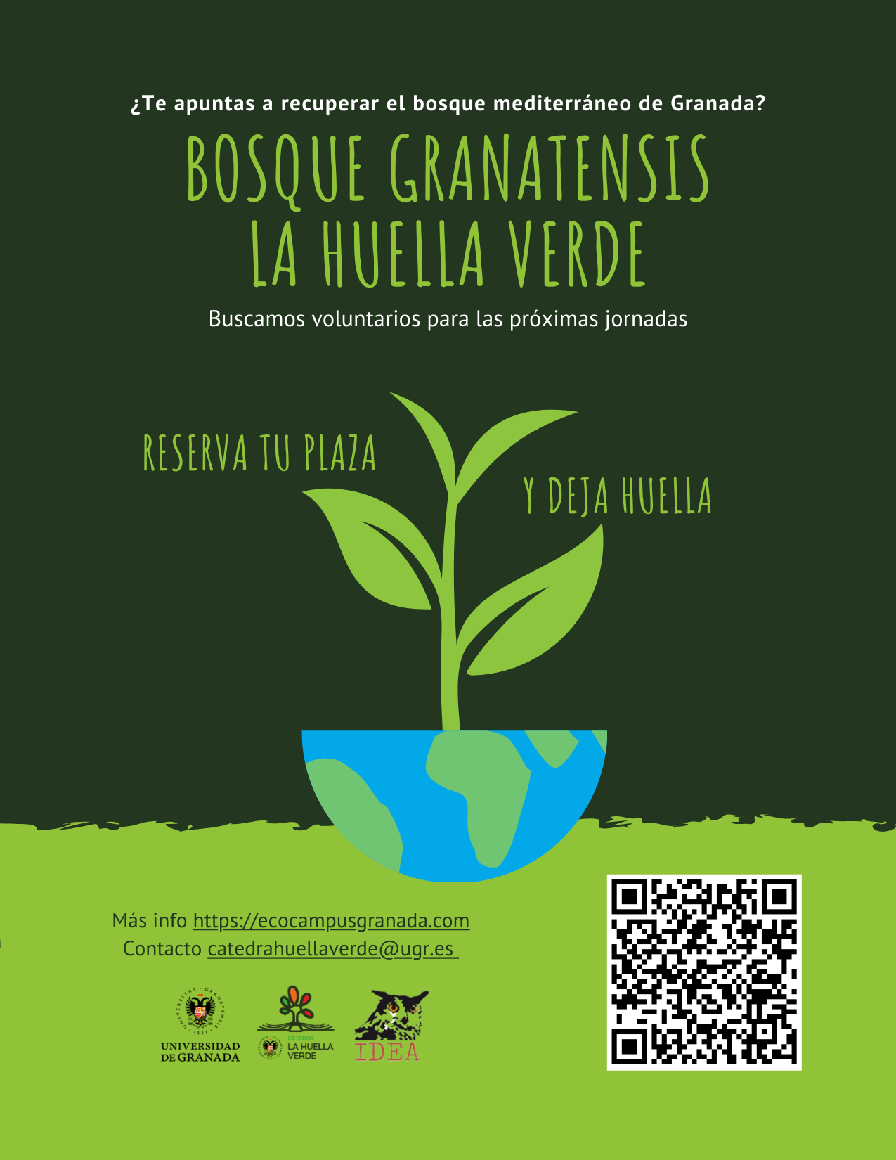 BOSQUE GRANATENSIS