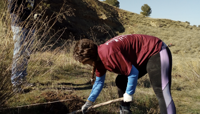 Plantando futuro