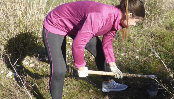Plantando futuro