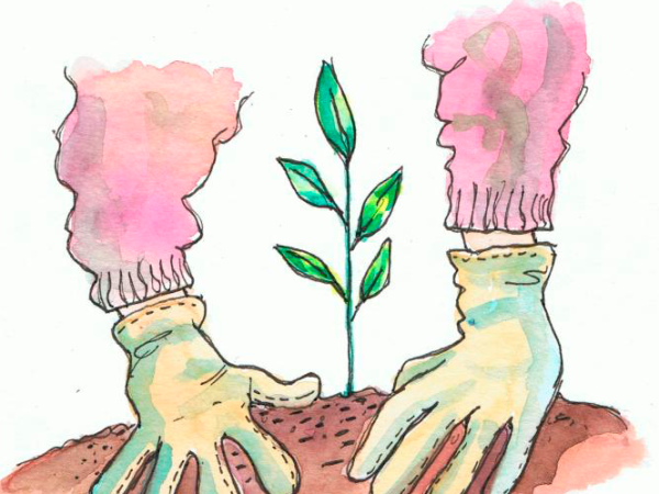 Claves para entender el Programa de Participación
