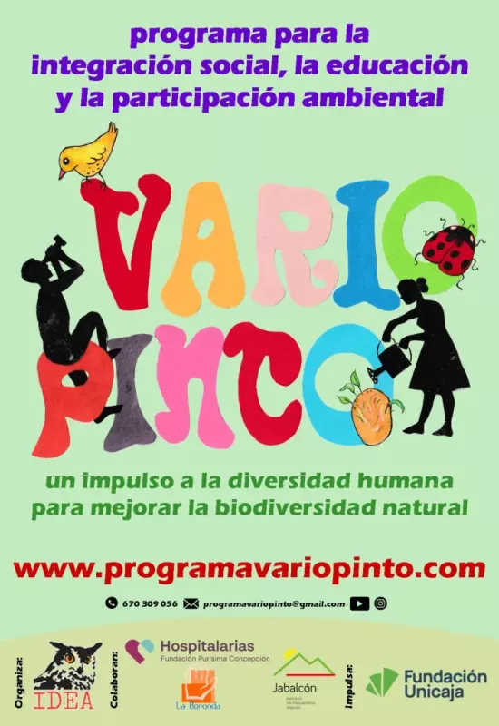 vario pinto